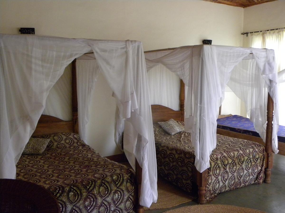 Olea Africana Lodge Karatu Exteriér fotografie